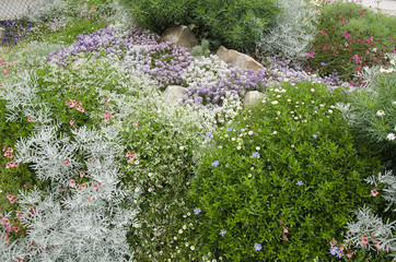 Jardin de rocaille