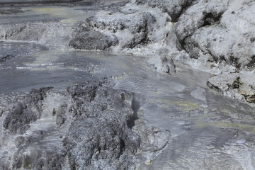 Calcaire et de soufre / Geyser Pohutu