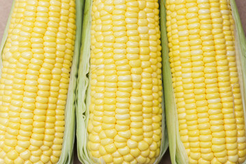 Closeup corns