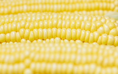 corn