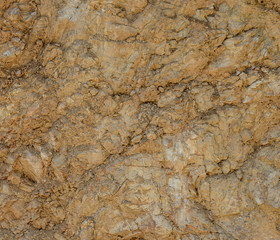 The pattern on the surface of the rock.