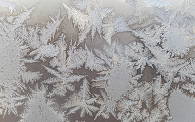 Ice floral pattern on glass. Macro view. Holiday seasonal background
