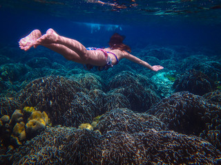 Underwater Photo of a Woman Diving , girl wearing bikini in action dive underwater ocean in thailand.
