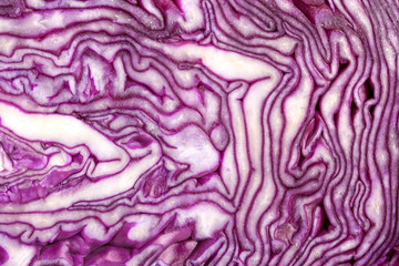 Obraz premium cut red cabbage as a background