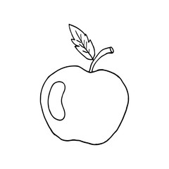 Sketch of an apple with a leaf and patch of light. Vector isolated image.