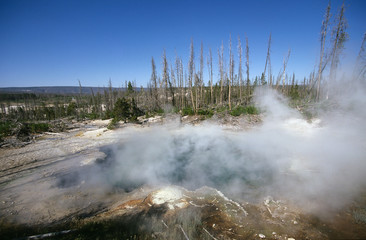 Yellowstone