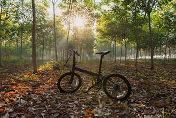 Fototapeta na wymiar Bike in the countryside. Light from the sun in the morning .