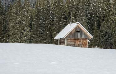 Old traditional shepherd cottage on alpine meadow during winter