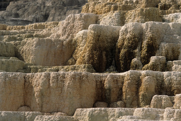 Yellowstone