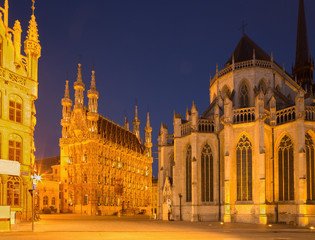 Fototapeta na wymiar Leuven - Gothic town hall and st. Peters cathedral in evening dusk