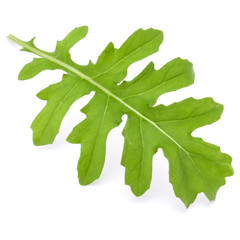 Close up studio shot of green fresh rucola leaves isolated on wh