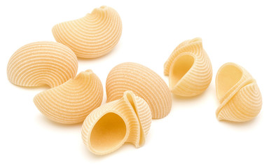 Italian lumaconi isolated on white background. Lumache, snailshe