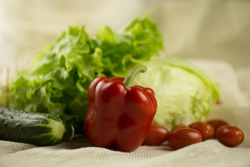 Tomato, bell pepper, cucumber ,lettuce