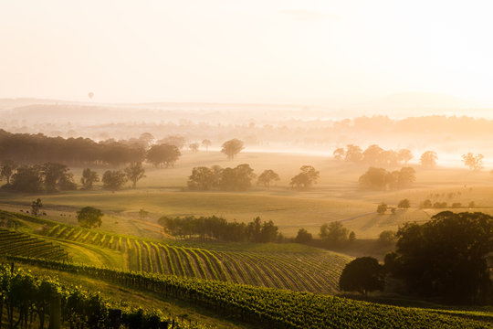 Sunrise across Hunter Valley vineyards