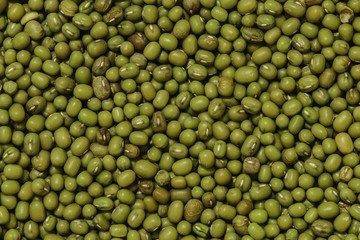 mung beans or green beans background