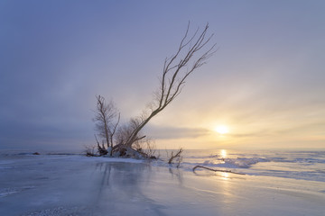 winter dawn on the river / bright photograph of a winter landsca