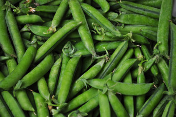 Ripe pods of green peas in bulk