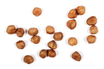 hazelnuts isolated on white background
