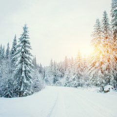 the winter road 