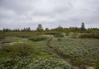 Fototapeta premium Kola Peninsula, Russia