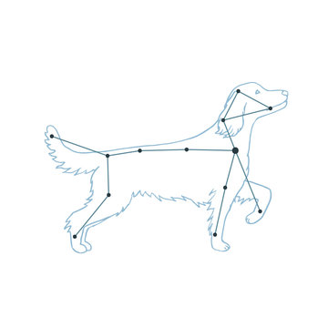 Vector illustration of Canis Major. Dog constellation hand-drawn background. Astrology picture on white isolated background.