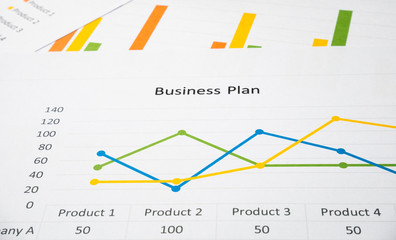Business summary or Business plan report with Charts and graphs