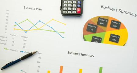 Business summary or Business plan report with Charts and graphs