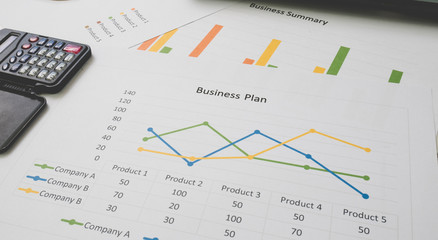Business summary or Business plan report with Charts and graphs