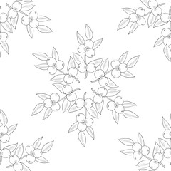 Camu camu berry, fruit, leaf branch. Superfood organic berry. Hand drawn sketch illustration. Seamless pattern.