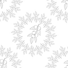 Fototapeta premium Camu camu berry, fruit, leaf branch. Superfood organic berry. Hand drawn sketch illustration. Seamless pattern.
