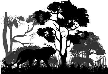Silhouette black lion and wild jungle, trees.