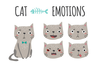Cute cat. Set of emotions