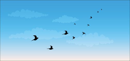 silhouettes of flying birds against the sky vector image