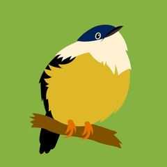 manakin vector illustration style Flat