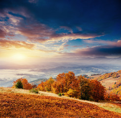 Fototapeta premium rock massif in the Carpathians.