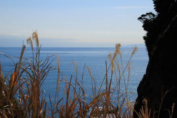 Sea seen from Enoshima