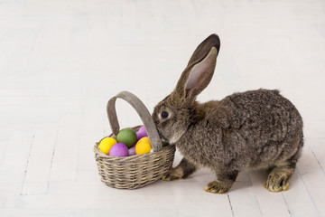 easter rabbit and wicker basket with painted eggs