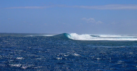 Barrel wave breaking out on remote reef