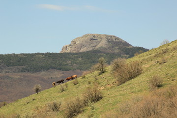 Obraz premium Dimerdji mountain