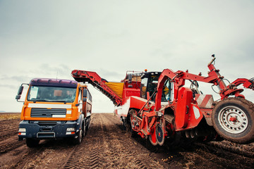 Truck and Excavator harvest off.