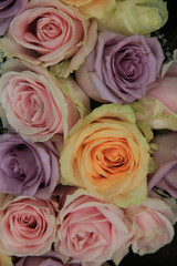 Fototapeta na wymiar Big pastel roses in bridal bouquet
