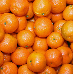 Organic mandarins and orange clementines with peel untreated wit