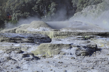 Calcaire et de soufre / Geyser Pohutu