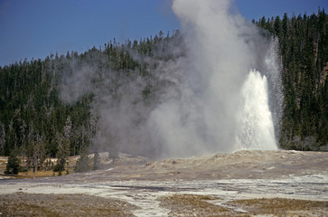 Yellowstone