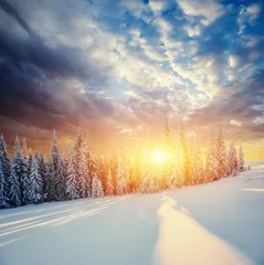 Zelfklevend Fotobehang Fabulous winter landscape in the mountains © standret