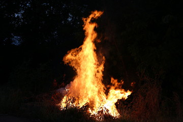 Fire flames burning grass on a black background