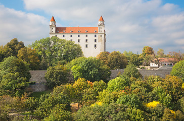 Fototapeta na wymiar Bratislava - The castle form st. Martins cathedral.