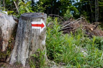 Hiking trail information sign in Polish mountains
