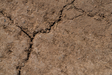 Crack dry soil