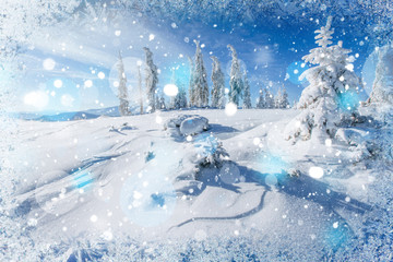 Naklejka na ściany i meble winter landscape trees snowbound, bokeh background with snowflak